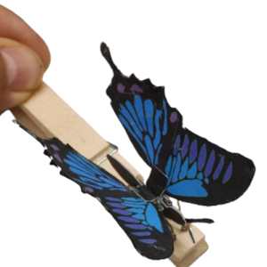 Mariposa Libre