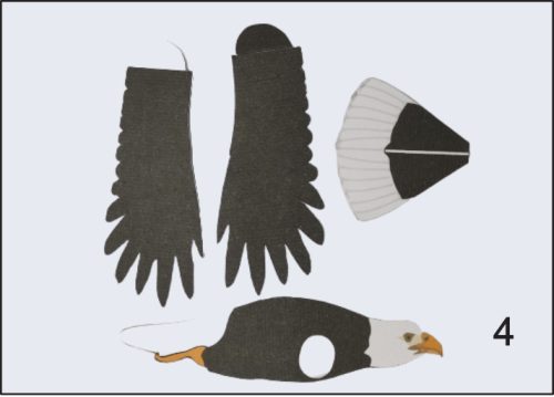 Aguila Libre