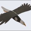 Aguila Libre