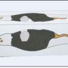 Aguila Libre