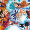 GOKU GOKU