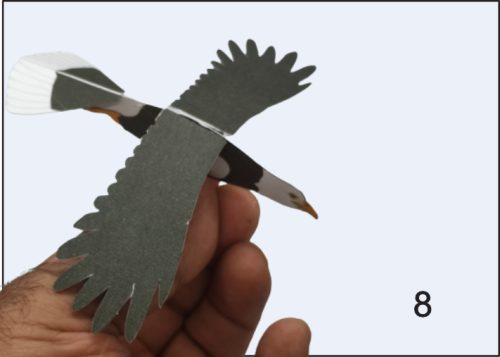 Aguila Libre