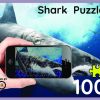 SHARK FRONT SHARK